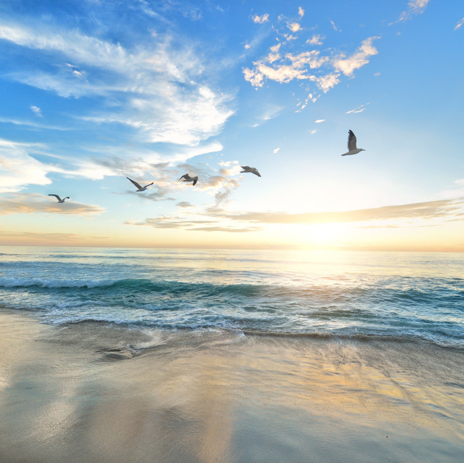 beach 1852945