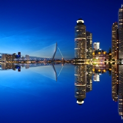 rotterdam 1598418